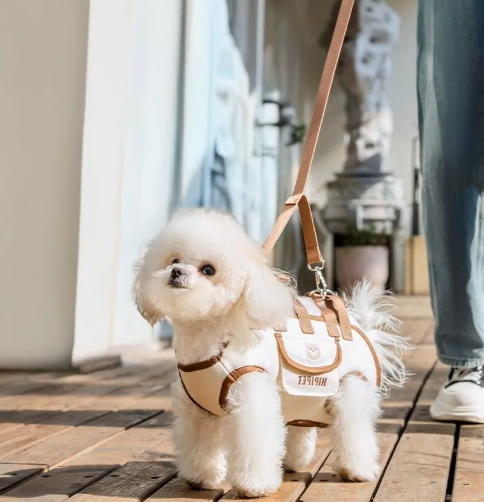 Pet Portable Crossbody Carrier Bag